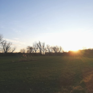 Sonnenuntergang am Feld